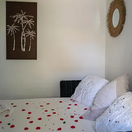 Apartment Un Havre De Paix Nimes